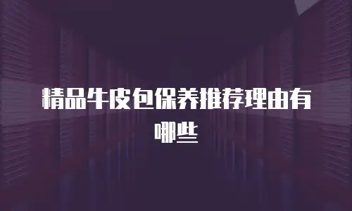 精品牛皮包保养推荐理由有哪些