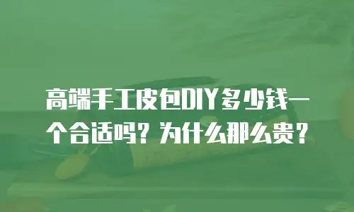 高端手工皮包DIY多少钱一个合适吗？为什么那么贵？