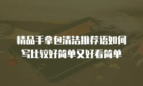 精品手拿包清洁推荐语如何写比较好简单又好看简单