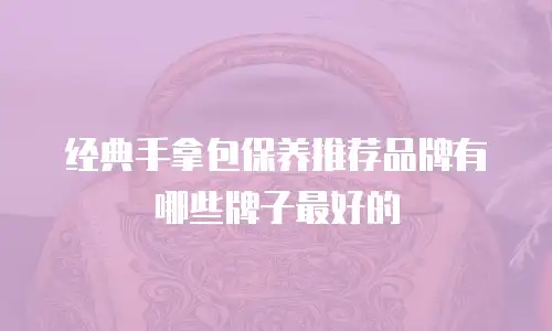 经典手拿包保养推荐品牌有哪些牌子最好的