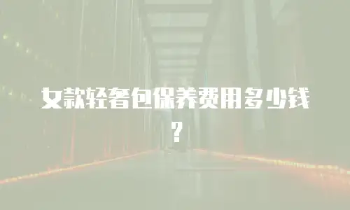 女款轻奢包保养费用多少钱？