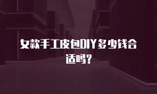女款手工皮包DIY多少钱合适吗？