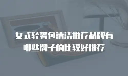 女式轻奢包清洁推荐品牌有哪些牌子的比较好推荐