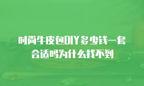 时尚牛皮包DIY多少钱一套合适吗为什么找不到