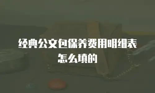 经典公文包保养费用明细表怎么填的