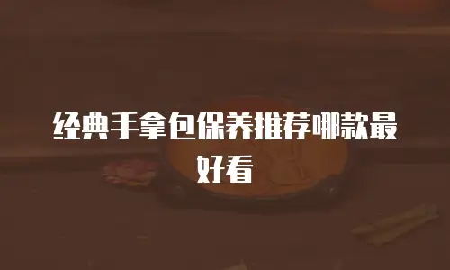 经典手拿包保养推荐哪款最好看