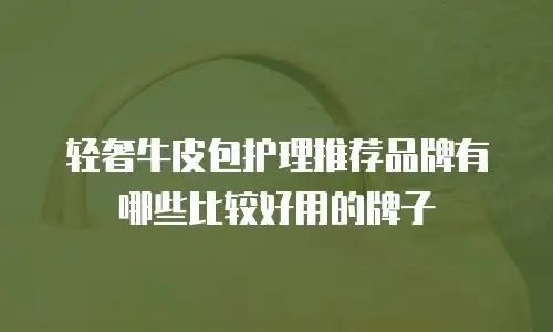 轻奢牛皮包护理推荐品牌有哪些比较好用的牌子