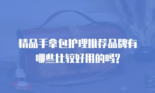 精品手拿包护理推荐品牌有哪些比较好用的吗?