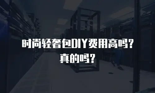 时尚轻奢包DIY费用高吗？真的吗？