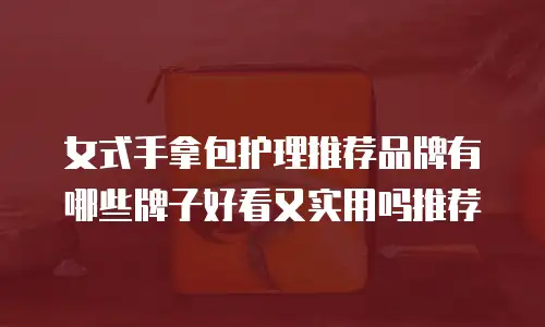 女式手拿包护理推荐品牌有哪些牌子好看又实用吗推荐