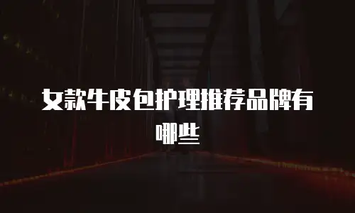 女款牛皮包护理推荐品牌有哪些