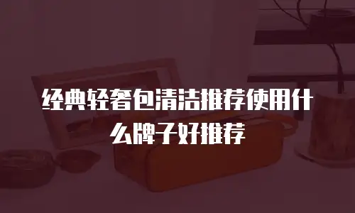 经典轻奢包清洁推荐使用什么牌子好推荐