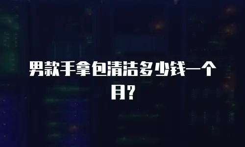 男款手拿包清洁多少钱一个月？