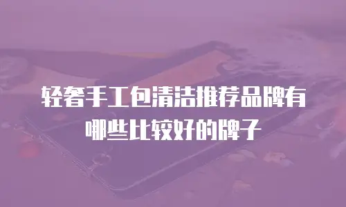 轻奢手工包清洁推荐品牌有哪些比较好的牌子