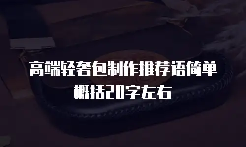 高端轻奢包制作推荐语简单概括20字左右