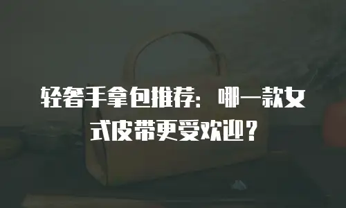 轻奢手拿包推荐：哪一款女式皮带更受欢迎？