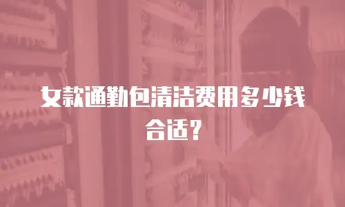 女款通勤包清洁费用多少钱合适？