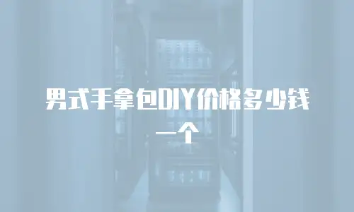 男式手拿包DIY价格多少钱一个