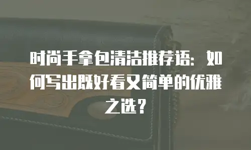 时尚手拿包清洁推荐语：如何写出既好看又简单的优雅之选？