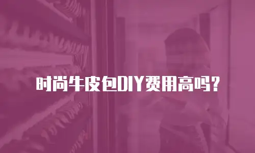 时尚牛皮包DIY费用高吗？
