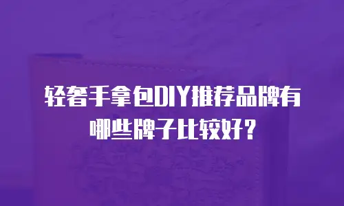 轻奢手拿包DIY推荐品牌有哪些牌子比较好？