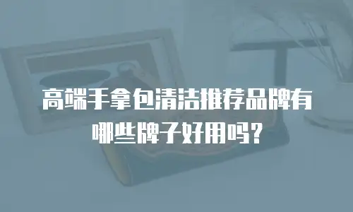 高端手拿包清洁推荐品牌有哪些牌子好用吗？