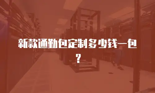 女式通勤包清洁价格多少