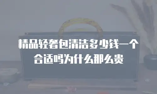 精品轻奢包清洁多少钱一个合适吗为什么那么贵