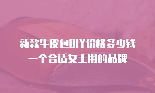新款牛皮包DIY价格多少钱一个合适女士用的品牌