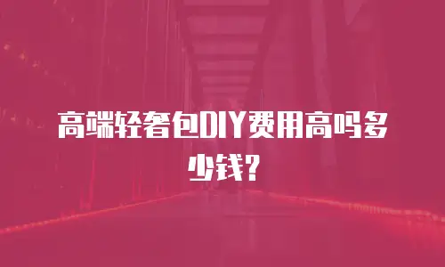 高端轻奢包DIY费用高吗多少钱？