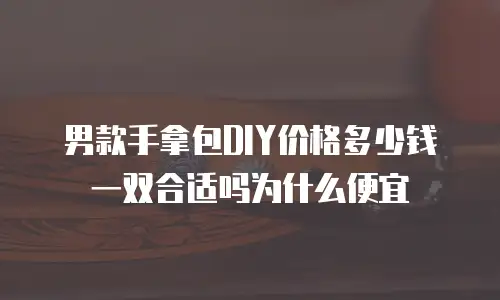 男款手拿包DIY价格多少钱一双合适吗为什么便宜