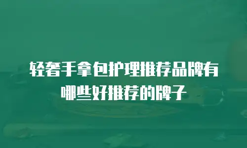 轻奢手拿包护理推荐品牌有哪些好推荐的牌子