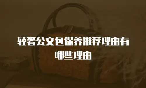 轻奢公文包保养推荐理由有哪些理由