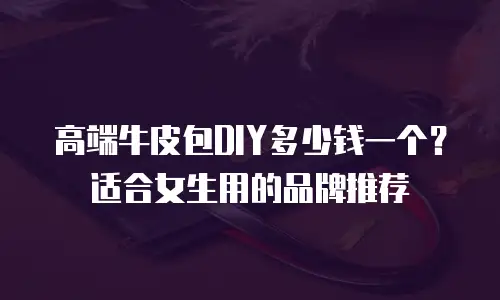 高端牛皮包DIY多少钱一个？适合女生用的品牌推荐