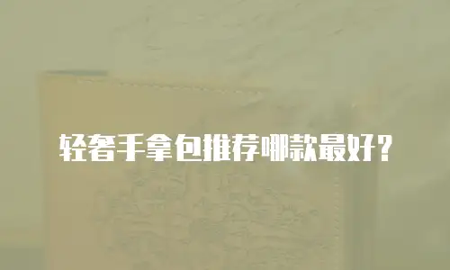 轻奢手拿包推荐哪款最好？