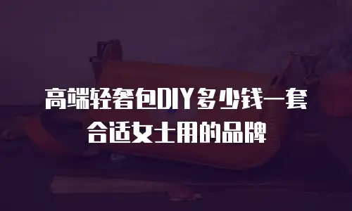 高端轻奢包DIY多少钱一套合适女士用的品牌
