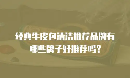 经典牛皮包清洁推荐品牌有哪些牌子好推荐吗？