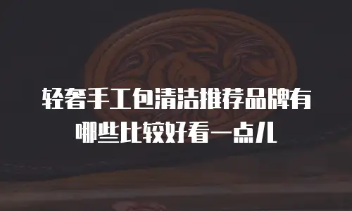 轻奢手工包清洁推荐品牌有哪些比较好看一点儿