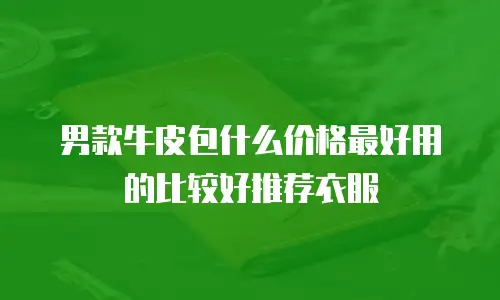 男款牛皮包什么价格最好用的比较好推荐衣服