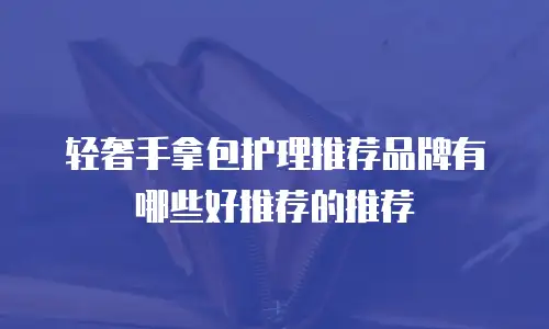 轻奢手拿包护理推荐品牌有哪些好推荐的推荐