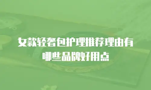 女款轻奢包护理推荐理由有哪些品牌好用点