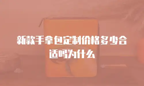 新款手拿包定制价格多少合适吗为什么
