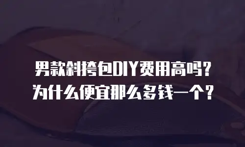 男款斜挎包DIY费用高吗？为什么便宜那么多钱一个？