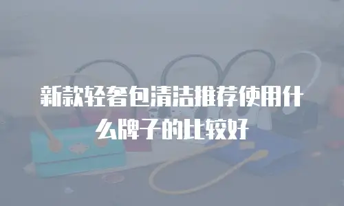 新款轻奢包清洁推荐使用什么牌子的比较好