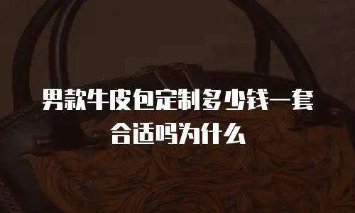 男款牛皮包定制多少钱一套合适吗为什么
