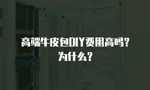高端牛皮包DIY费用高吗？为什么？