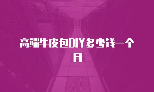 高端牛皮包DIY多少钱一个月
