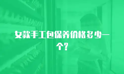女款手工包保养价格多少一个?