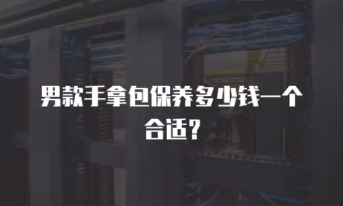 男款手拿包保养多少钱一个合适？
