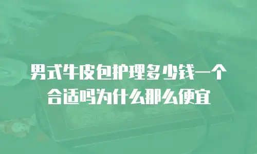 男式牛皮包护理多少钱一个合适吗为什么那么便宜